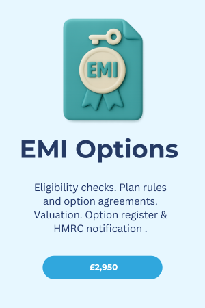 EMI Scale-up Legal Services Bundle Image